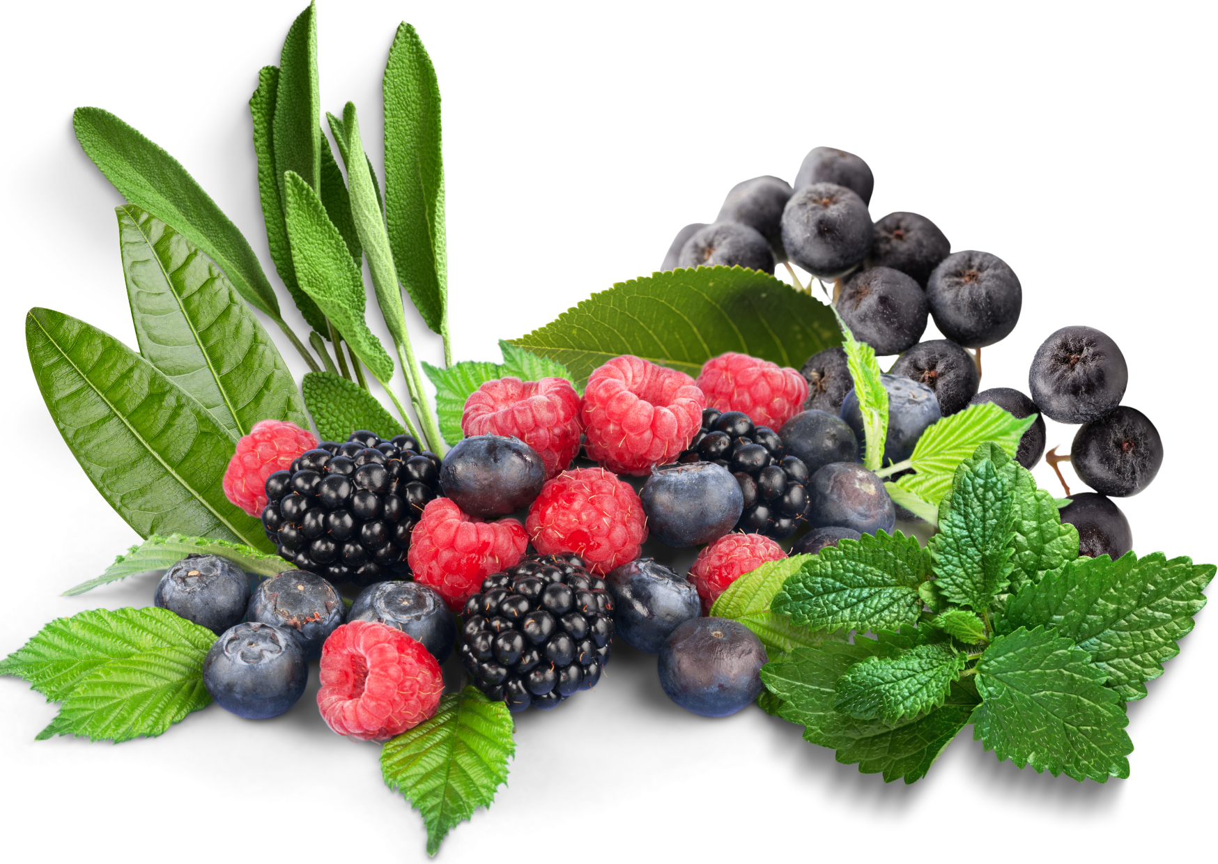 herbs and berries
